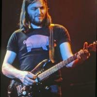 David Gilmour