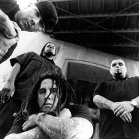 P.O.D.