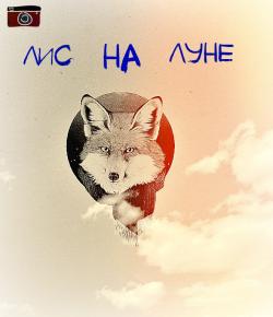 Лис на Луне