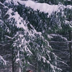 Kira Winter