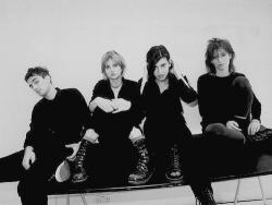 Elastica