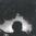 Black Feather